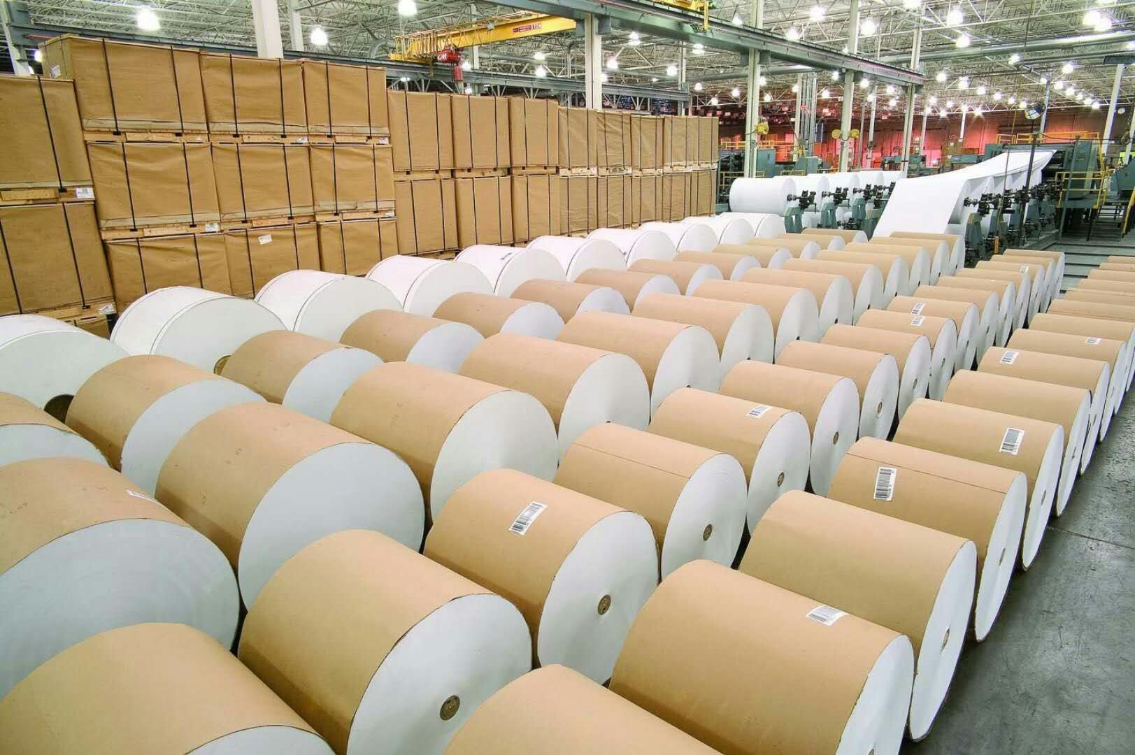 2025年5月5日-5月11日一周紙業市場詳情回顧